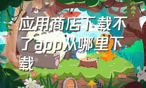 应用商店下载不了app从哪里下载