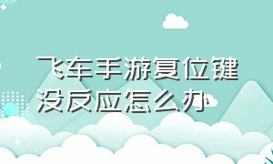 飞车手游复位键没反应怎么办