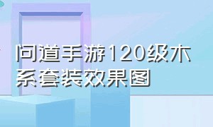 问道手游120级木系套装效果图