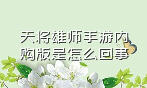 天将雄师手游内购版是怎么回事