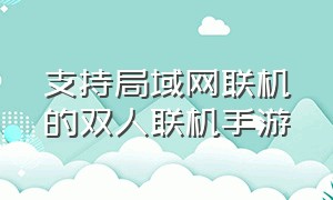 支持局域网联机的双人联机手游