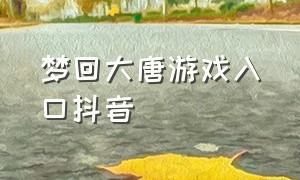 梦回大唐游戏入口抖音