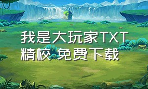 我是大玩家TXT精校 免费下载