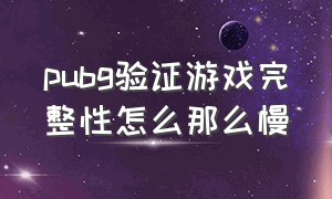 pubg验证游戏完整性怎么那么慢