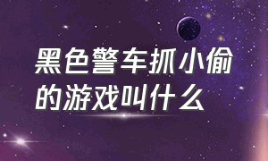 黑色警车抓小偷的游戏叫什么