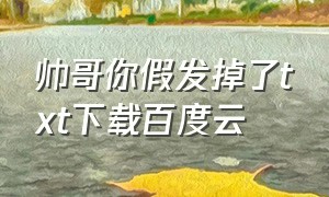 帅哥你假发掉了txt下载百度云