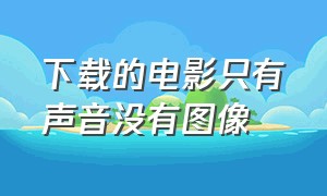 下载的电影只有声音没有图像