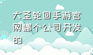 大圣轮回手游官网哪个公司开发的