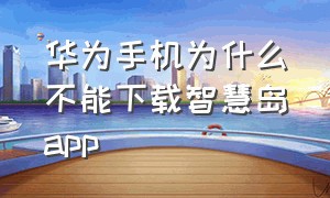 华为手机为什么不能下载智慧岛app