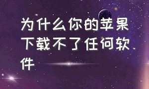 为什么你的苹果下载不了任何软件