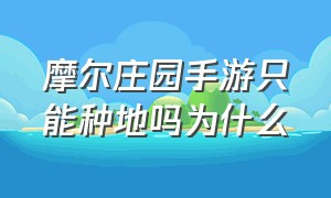 摩尔庄园手游只能种地吗为什么