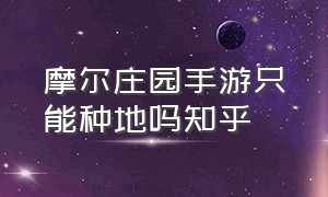 摩尔庄园手游只能种地吗知乎