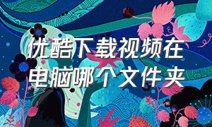 优酷下载视频在电脑哪个文件夹