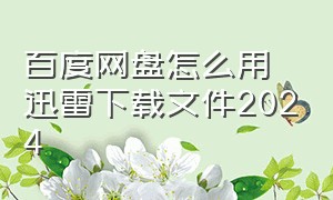 百度网盘怎么用迅雷下载文件2024