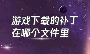 游戏下载的补丁在哪个文件里