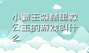 小霸王森林里救公主的游戏叫什么