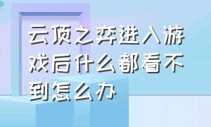 云顶之弈进入游戏后什么都看不到怎么办