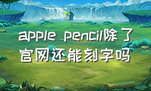 apple pencil除了官网还能刻字吗