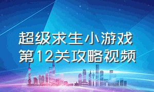 超级求生小游戏第12关攻略视频