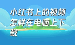 小红书上的视频怎样在电脑上下载