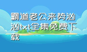 霸道老公来势汹汹txt全集免费下载