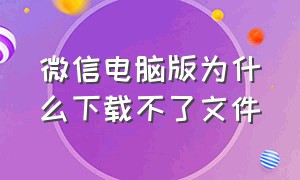 微信电脑版为什么下载不了文件