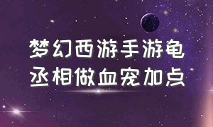 梦幻西游手游龟丞相做血宠加点