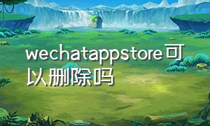 wechatappstore可以删除吗