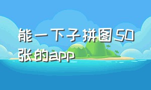 能一下子拼图50张的app