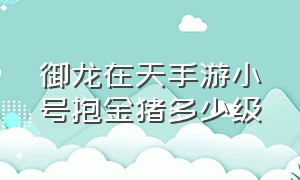 御龙在天手游小号抱金猪多少级