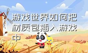 游戏世界如何把材质包插入游戏中