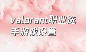 valorant职业选手游戏设置