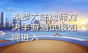 斗罗大陆魂师对决手游测试服如何进入