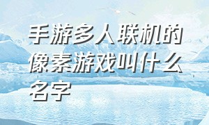 手游多人联机的像素游戏叫什么名字