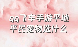 qq飞车手游平地平民宠物选什么