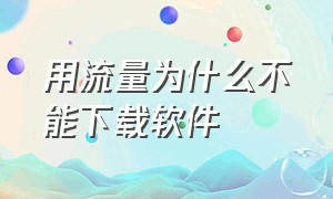 用流量为什么不能下载软件