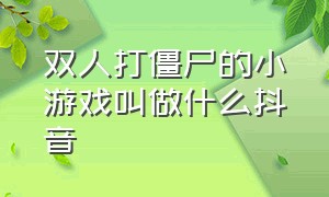 双人打僵尸的小游戏叫做什么抖音