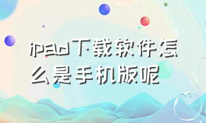 ipad下载软件怎么是手机版呢