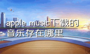apple music下载的音乐存在哪里