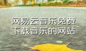 网易云音乐免费下载音乐的网站