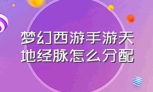 梦幻西游手游天地经脉怎么分配