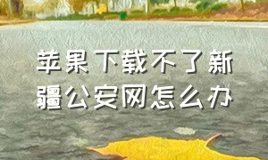 苹果下载不了新疆公安网怎么办