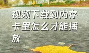 视频下载到内存卡里怎么才能播放