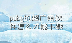 pubg的超广角软件怎么才能下载