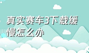 真实赛车3下载缓慢怎么办