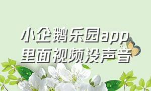 小企鹅乐园app里面视频没声音