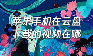 苹果手机在云盘下载的视频在哪