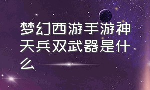 梦幻西游手游神天兵双武器是什么