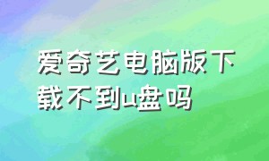 爱奇艺电脑版下载不到u盘吗