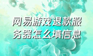 网易游戏退款服务器怎么填信息